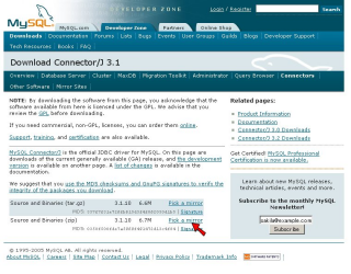 MySQL サイト